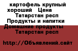 картофель крупный хороший › Цена ­ 600 - Татарстан респ. Продукты и напитки » Домашние продукты   . Татарстан респ.